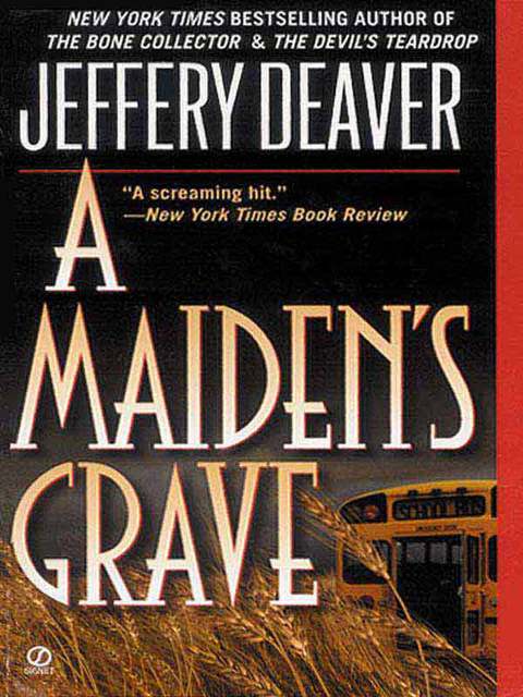 Cover image for book A Maiden's Grave