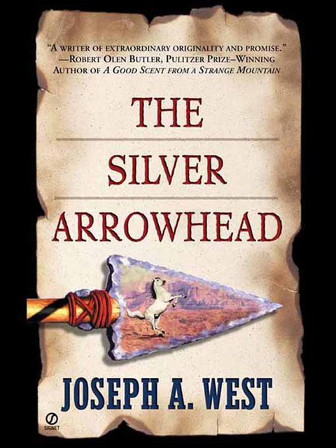 Cover image for book The Silver Arrowhead