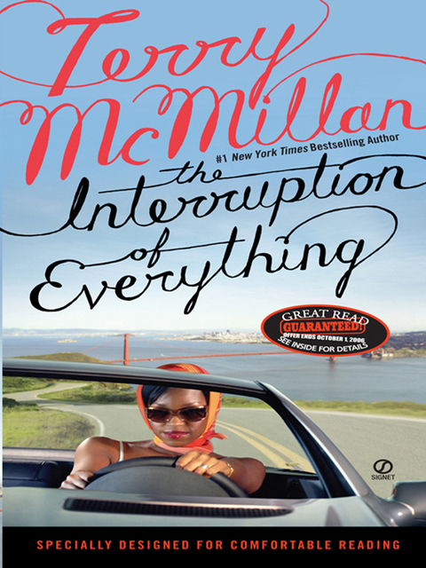 Cover image for book The Interruption of Everything