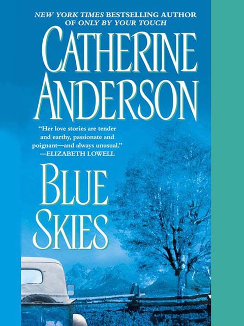 Cover image for book Blue Skies