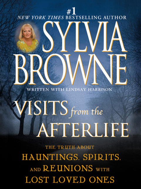 Cover image for book Visits from the Afterlife