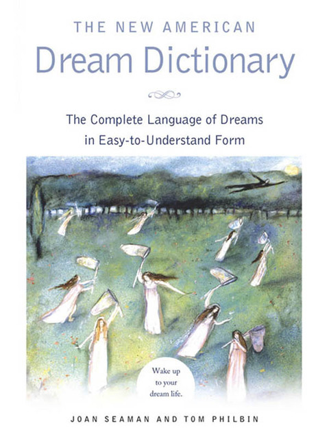 Cover image for book The New American Dream Dictionary