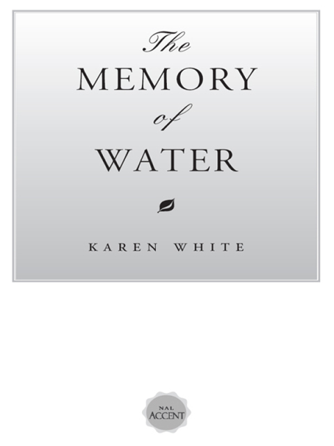 Cover image for book The Memory of Water