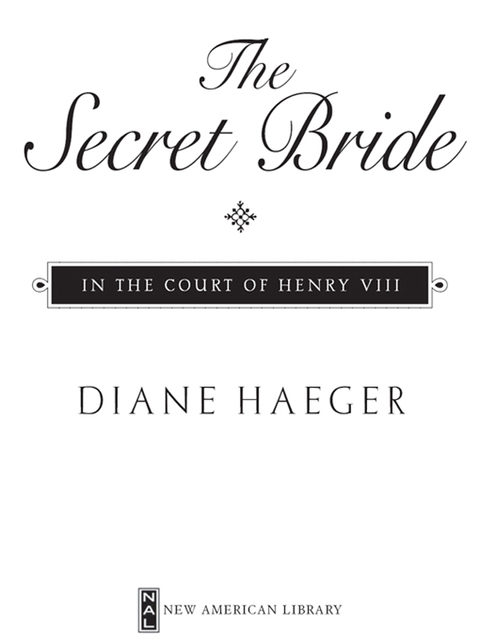 Cover image for book The Secret Bride