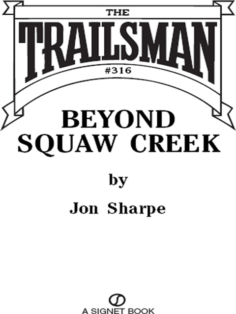 Cover image for book The Trailsman #316