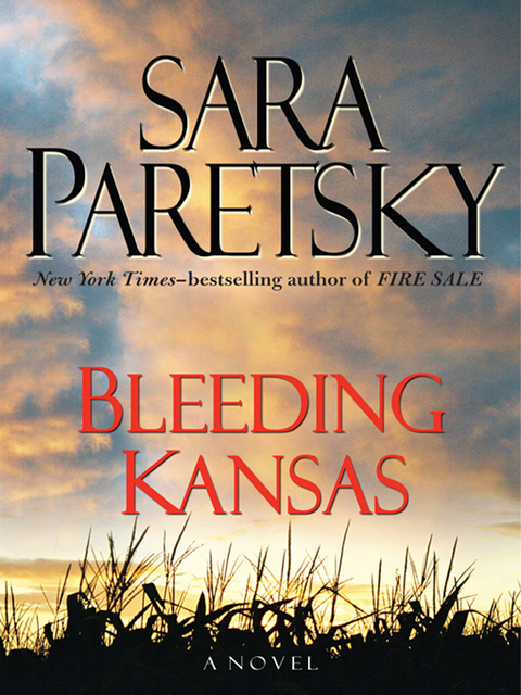 Cover image for book Bleeding Kansas