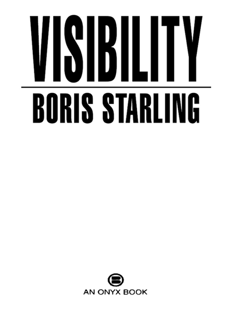 Cover image for book Visibility