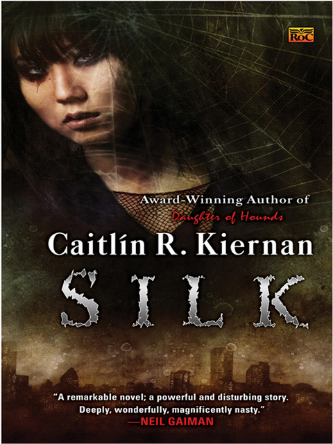 Cover image for book Silk