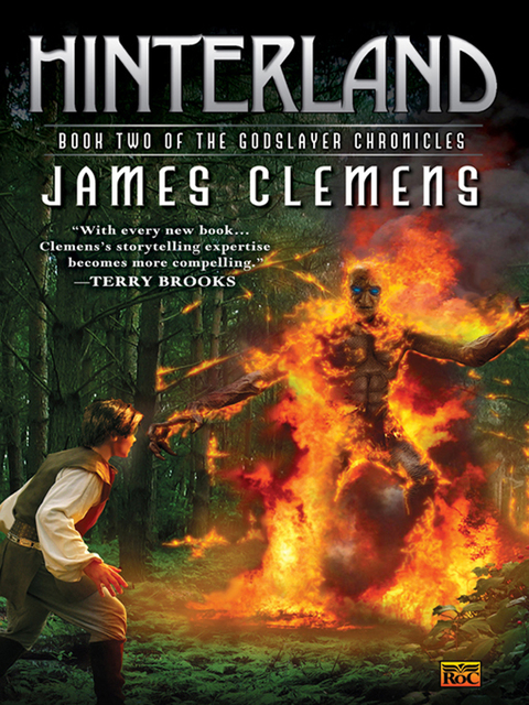 Cover image for book Hinterland