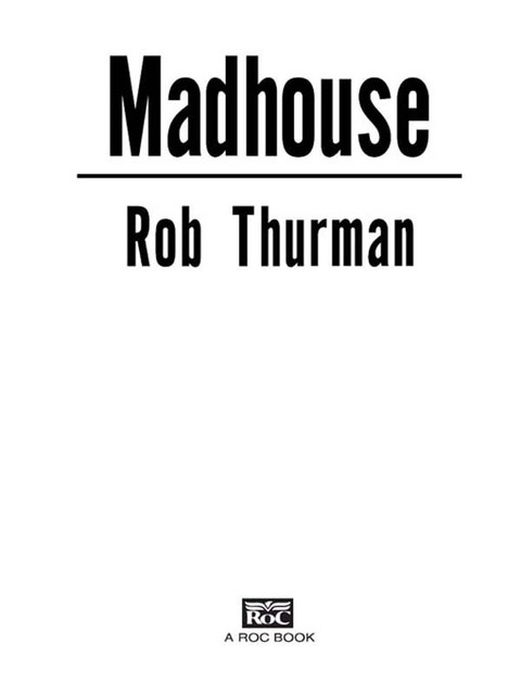 Cover image for book Madhouse