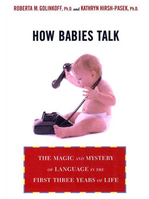 Cover image for book How Babies Talk
