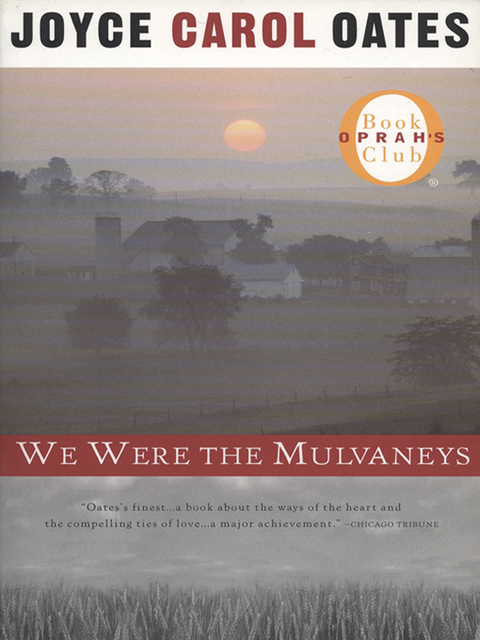 Cover image for book We Were the Mulvaneys