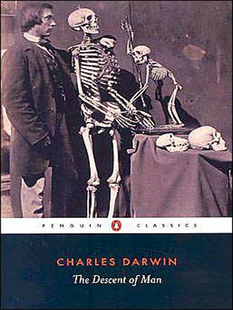 Cover image for book The Descent of Man