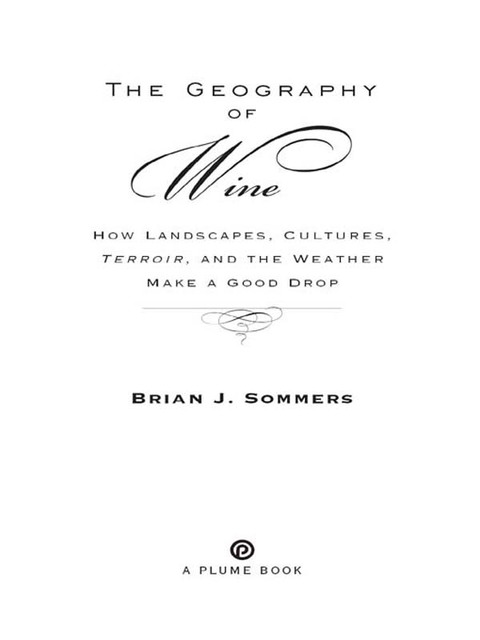 Geography Of Wine