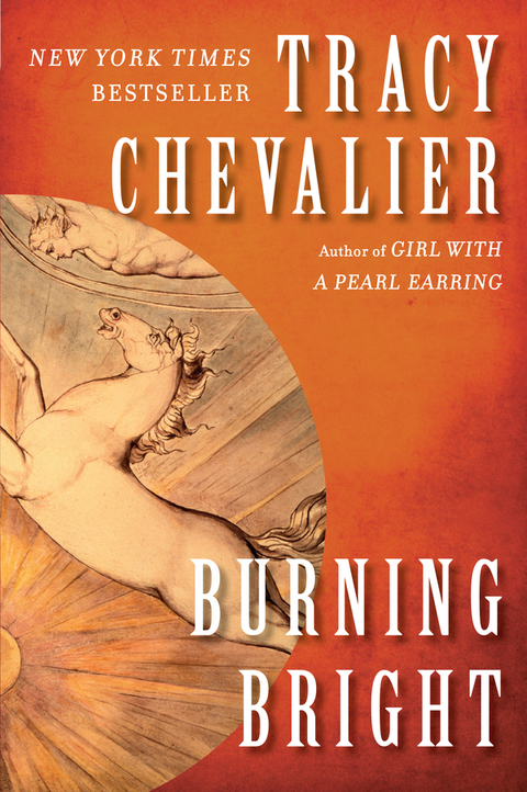 Cover image for book Burning Bright