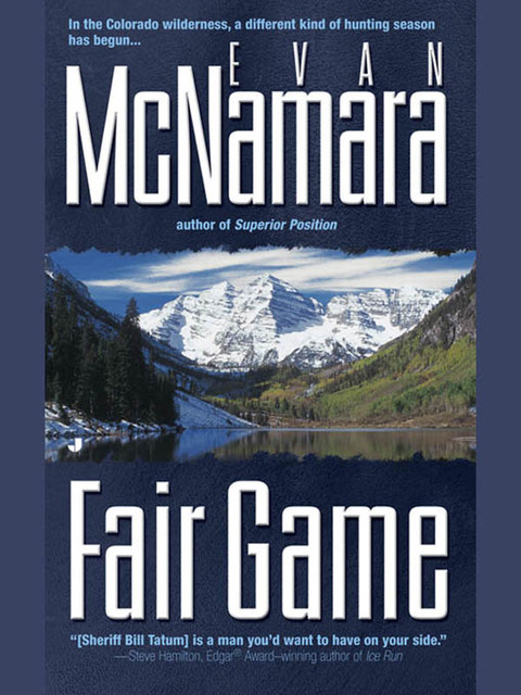 Cover image for book Fair Game