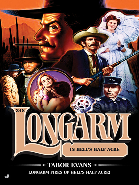 Cover image for book Longarm 348