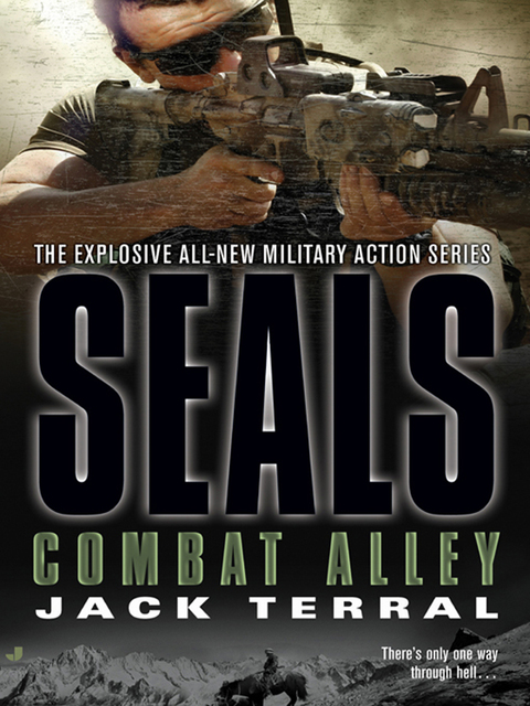 Cover image for book Seals: Combat Alley