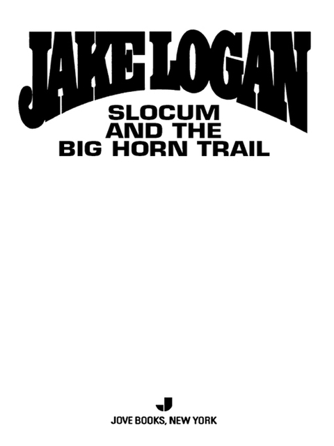 Cover image for book Slocum 349