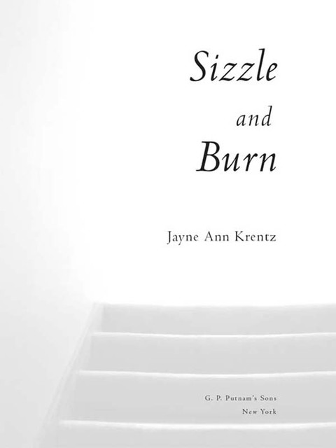 Cover image for book Sizzle and Burn