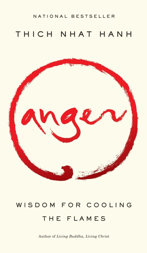 Cover image for book Anger