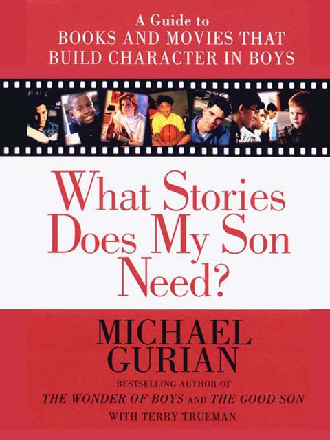 Cover image for book What Stories Does My Son Need?