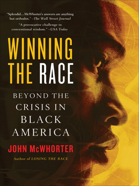 Cover image for book Winning the Race