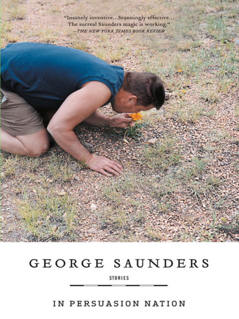 Cover image for book In Persuasion Nation