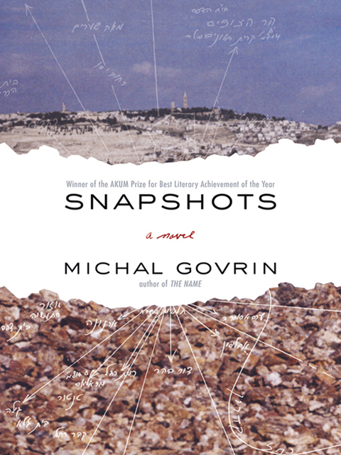 Cover image for book Snapshots