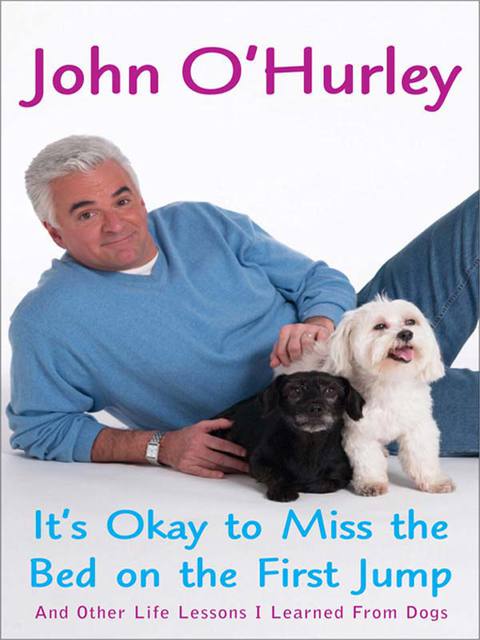 Cover image for book It's Okay to Miss the Bed on the First Jump