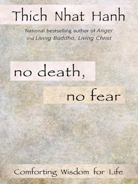 Cover image for book No Death, No Fear