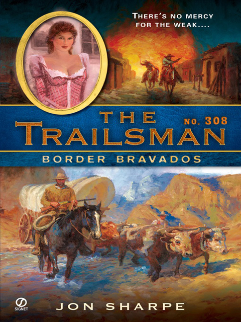 Cover image for book The Trailsman #308