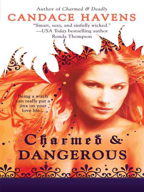 Cover image for book Charmed & Dangerous