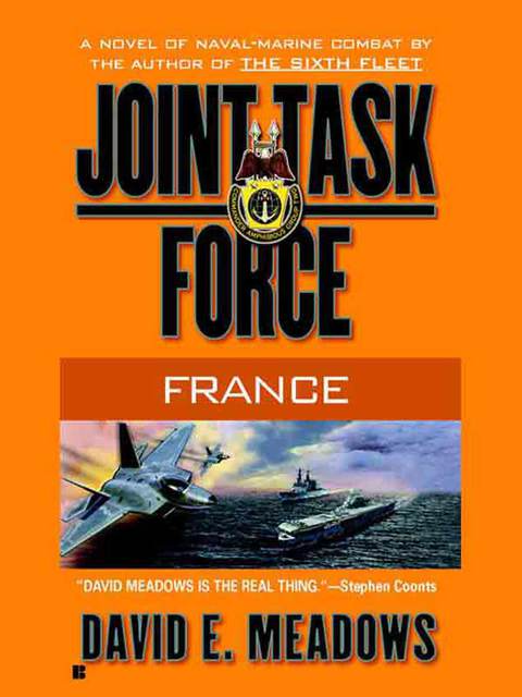 Cover image for book Joint Task Force: France