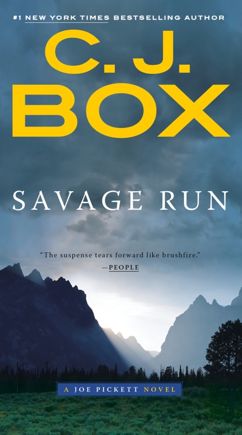 Cover image for book Savage Run