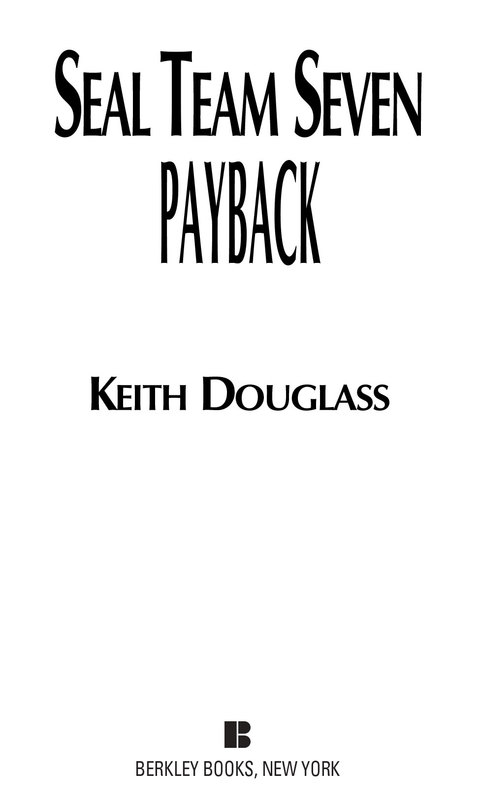 Cover image for book Seal Team Seven #17: Payback
