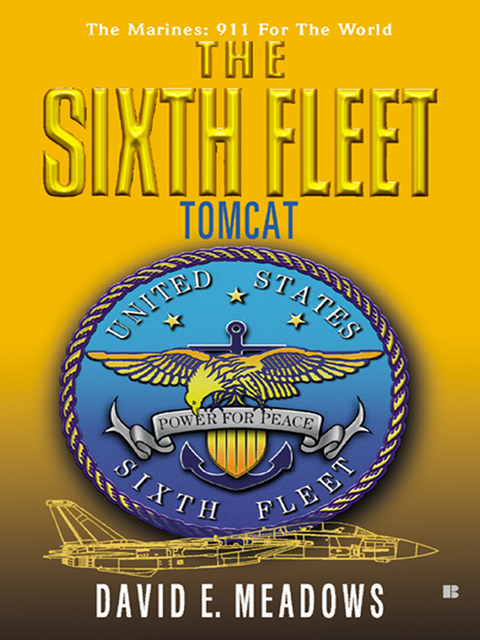 Cover image for book The Sixth Fleet: Tomcat