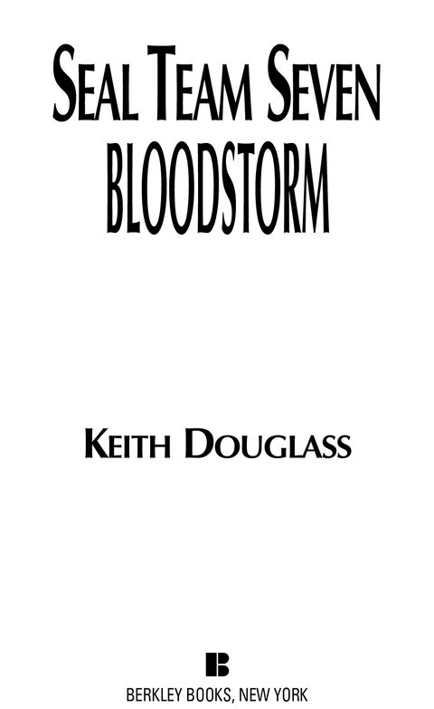 Cover image for book Seal Team Seven 13: Bloodstorm