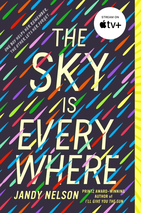 Cover image for book The Sky Is Everywhere