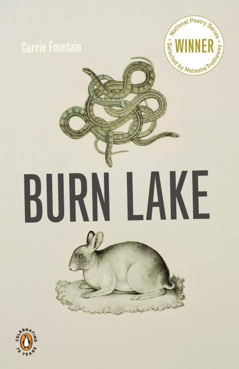 Cover image for book Burn Lake