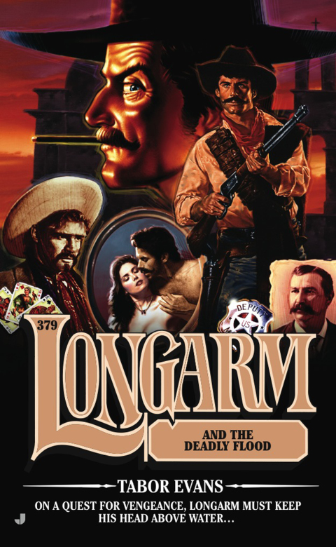 Cover image for book Longarm #379