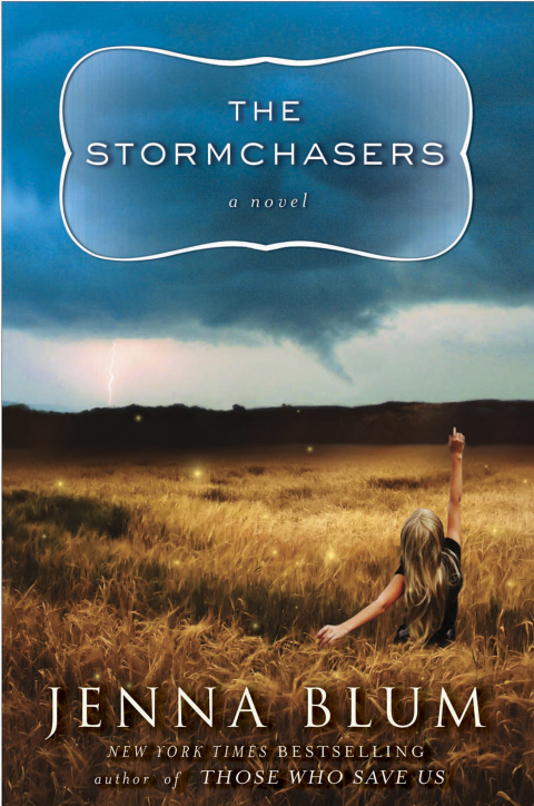 Cover image for book The Stormchasers