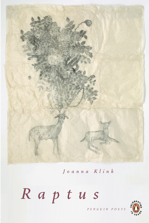 Cover image for book Raptus