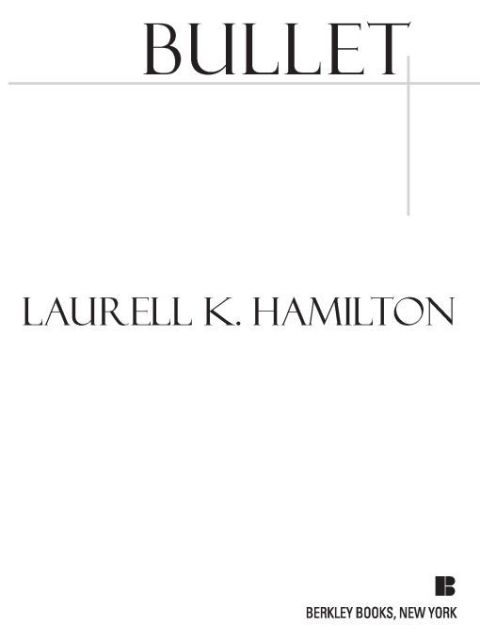 Cover image for book Bullet