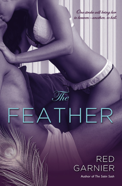 Cover image for book The Feather