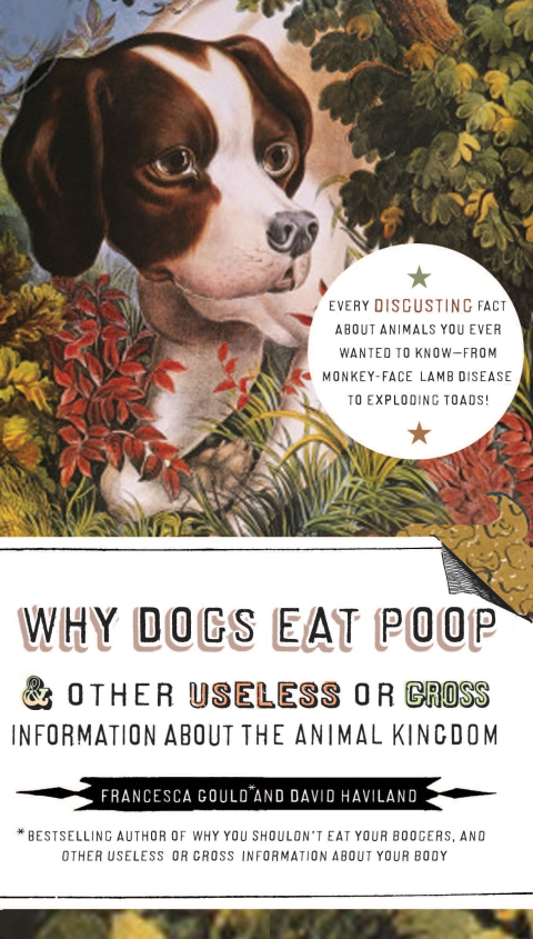 Cover image for book Why Dogs Eat Poop, and Other Useless or Gross Information About the Animal Kingdom