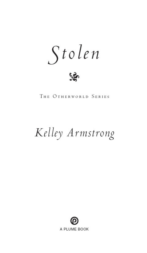 Cover image for book Stolen