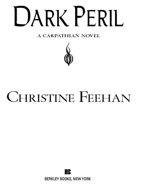 Cover image for book Dark Peril