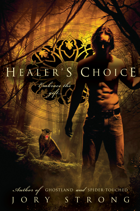Cover image for book Healer's Choice