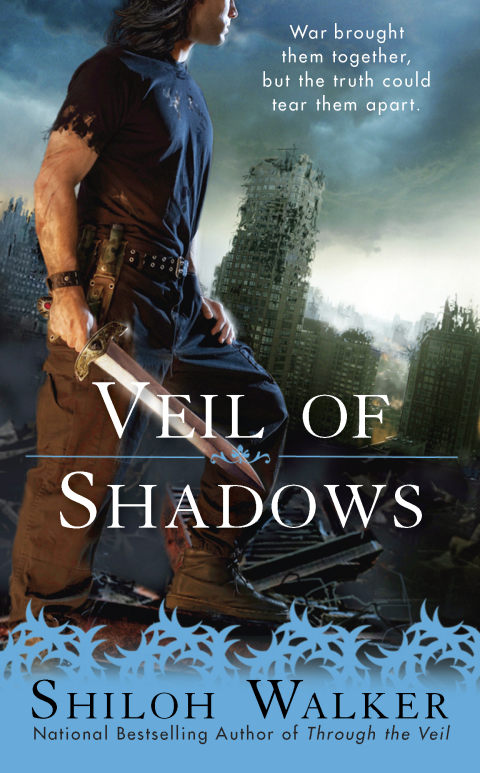 Cover image for book Veil of Shadows